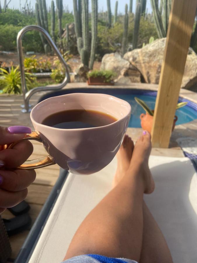 Cozy Studio With Private Spa Oranjestad Extérieur photo